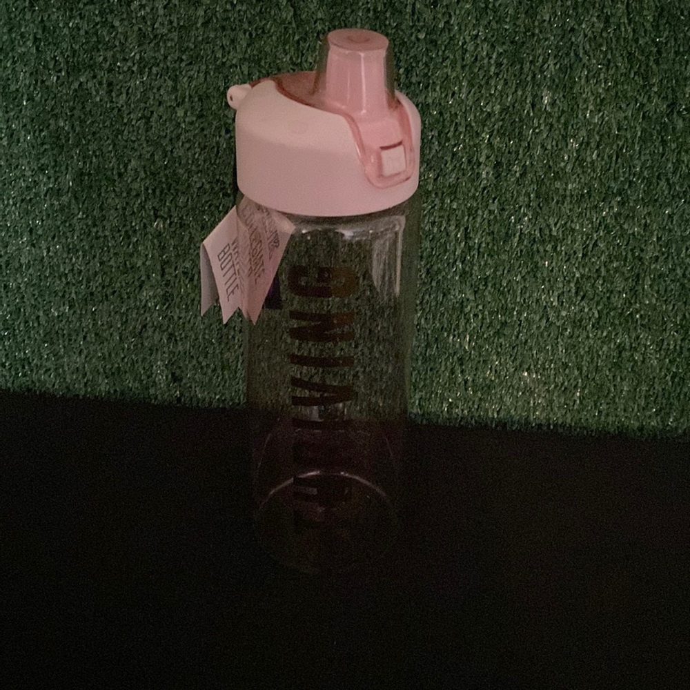 PINK Collegiate WaterBottle